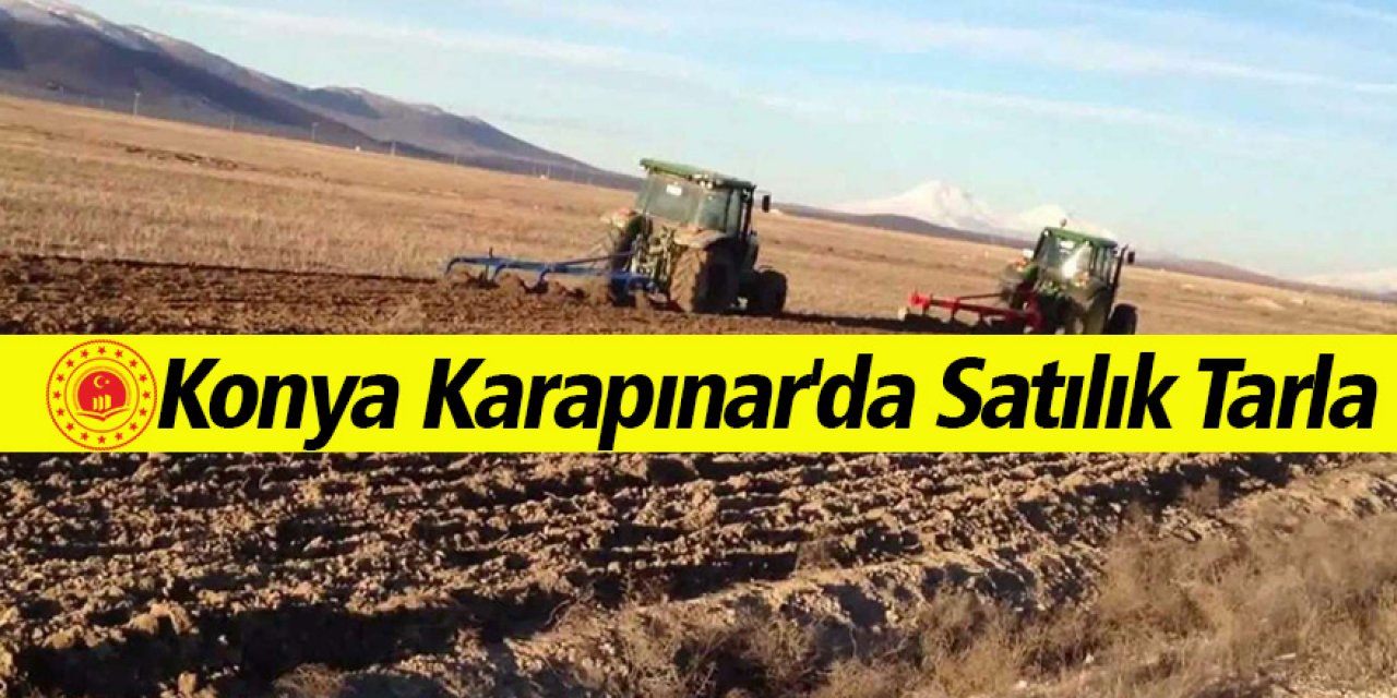 Konya Karapınar'da 7 adet tarla ihaleyle satılacak 