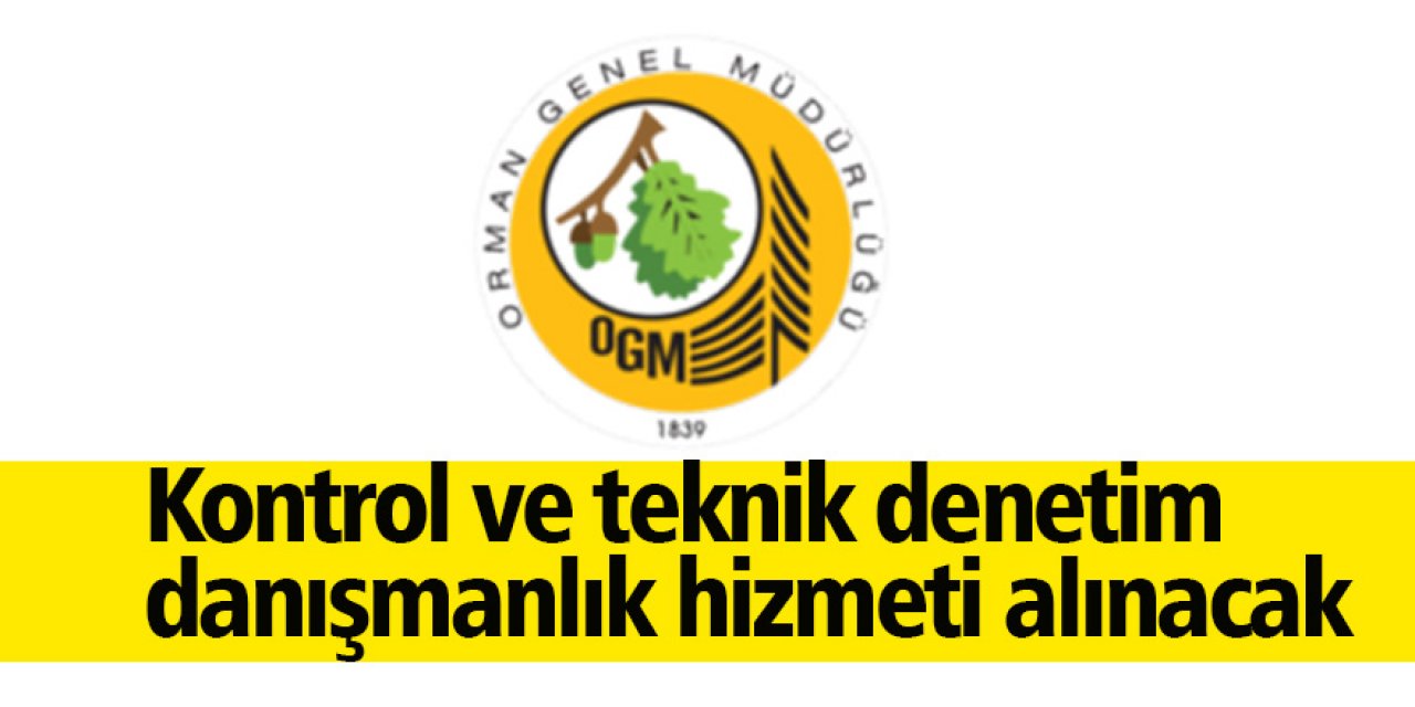Kontrol ve teknik denetim danışmanlık hizmeti alınacak