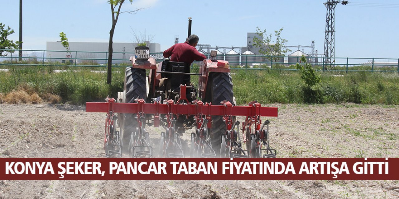 Konya Şeker, Pancar Taban Fiyatında Artışa Gitti 