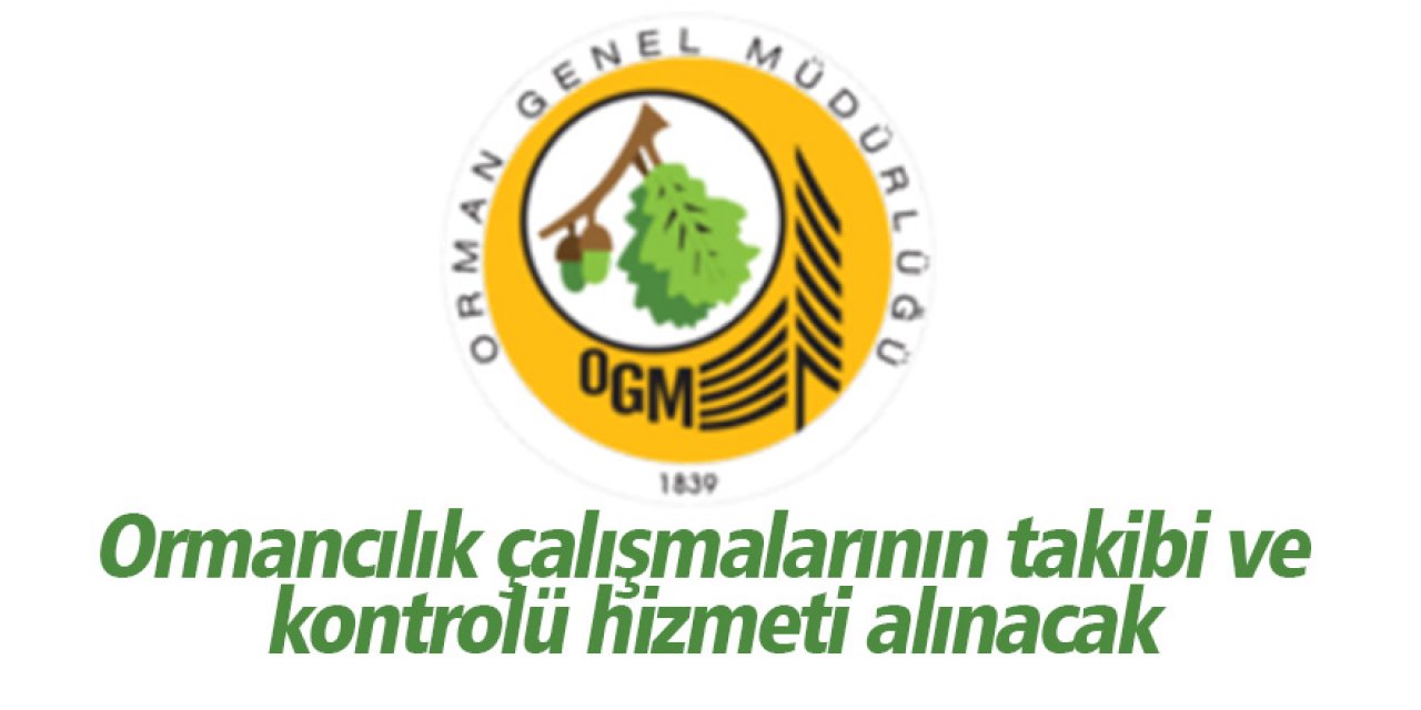 Ormancılık çalışmalarının takibi ve kontrolü hizmeti alınacak