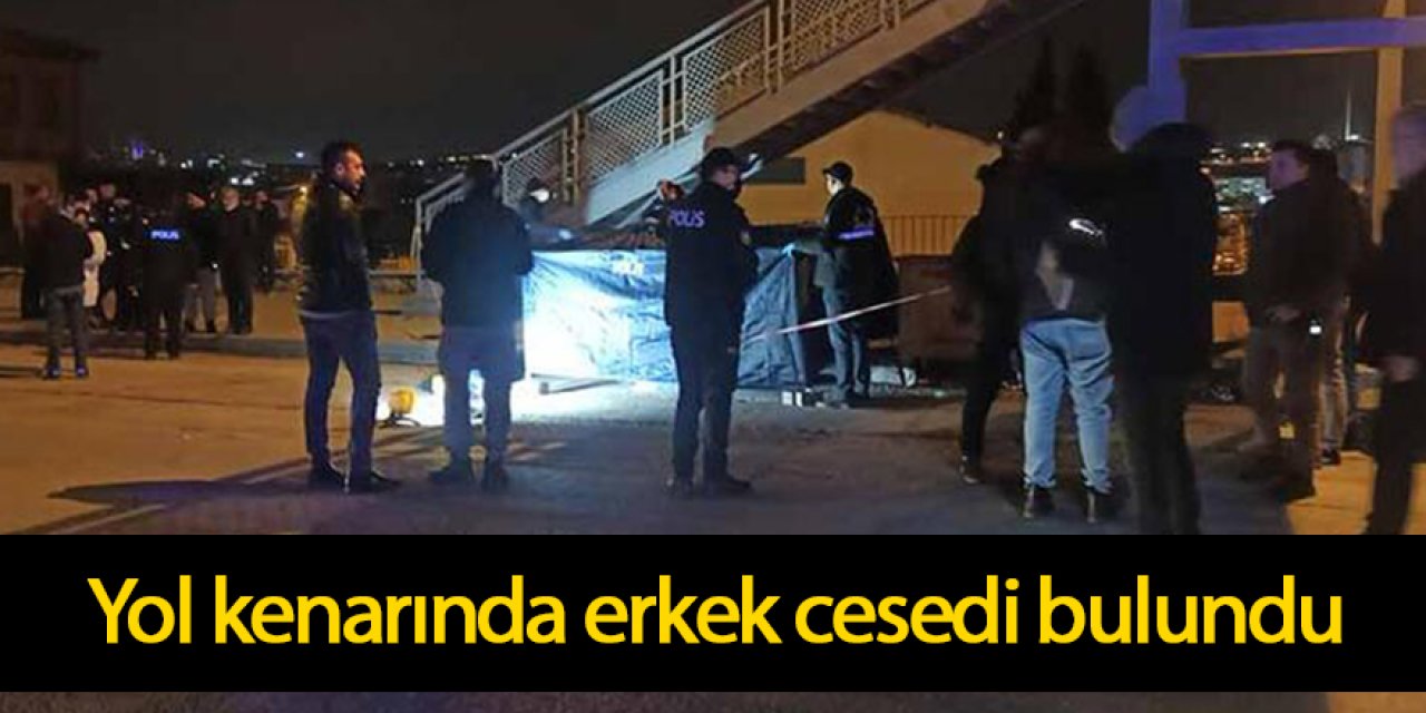 Yol kenarında erkek cesedi bulundu