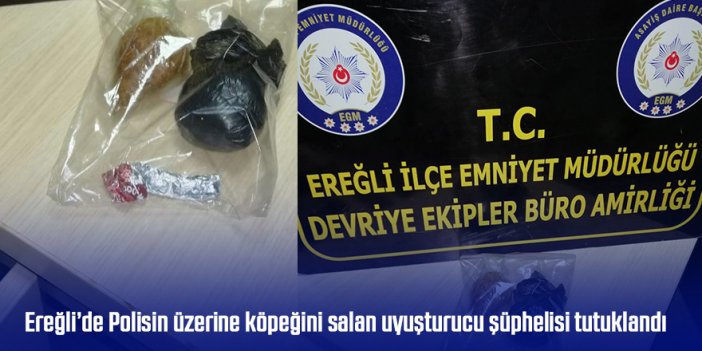 Ereğli’de Polisin üzerine köpeğini salan uyuşturucu şüphelisi tutuklandı