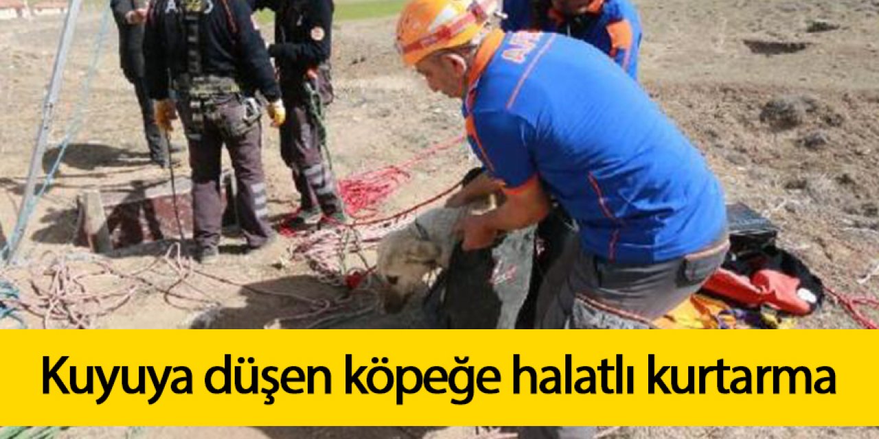 Kuyuya düşen köpeğe halatlı kurtarma