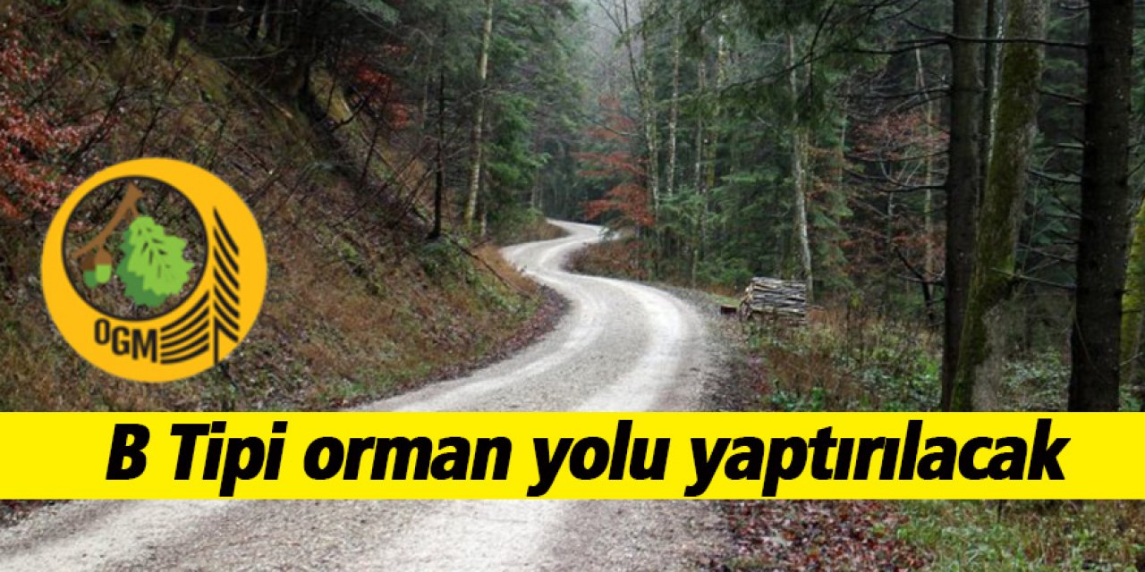 B Tipi orman yolu yaptırılacak