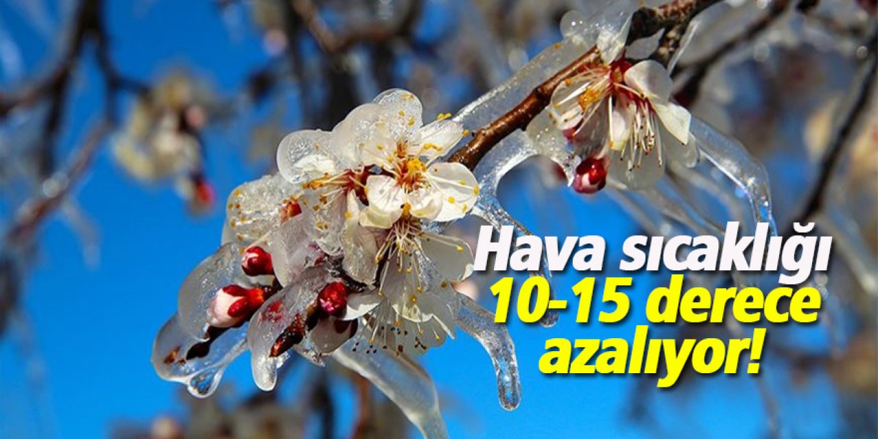 Meteorolojiden Zirai don uyarısı!