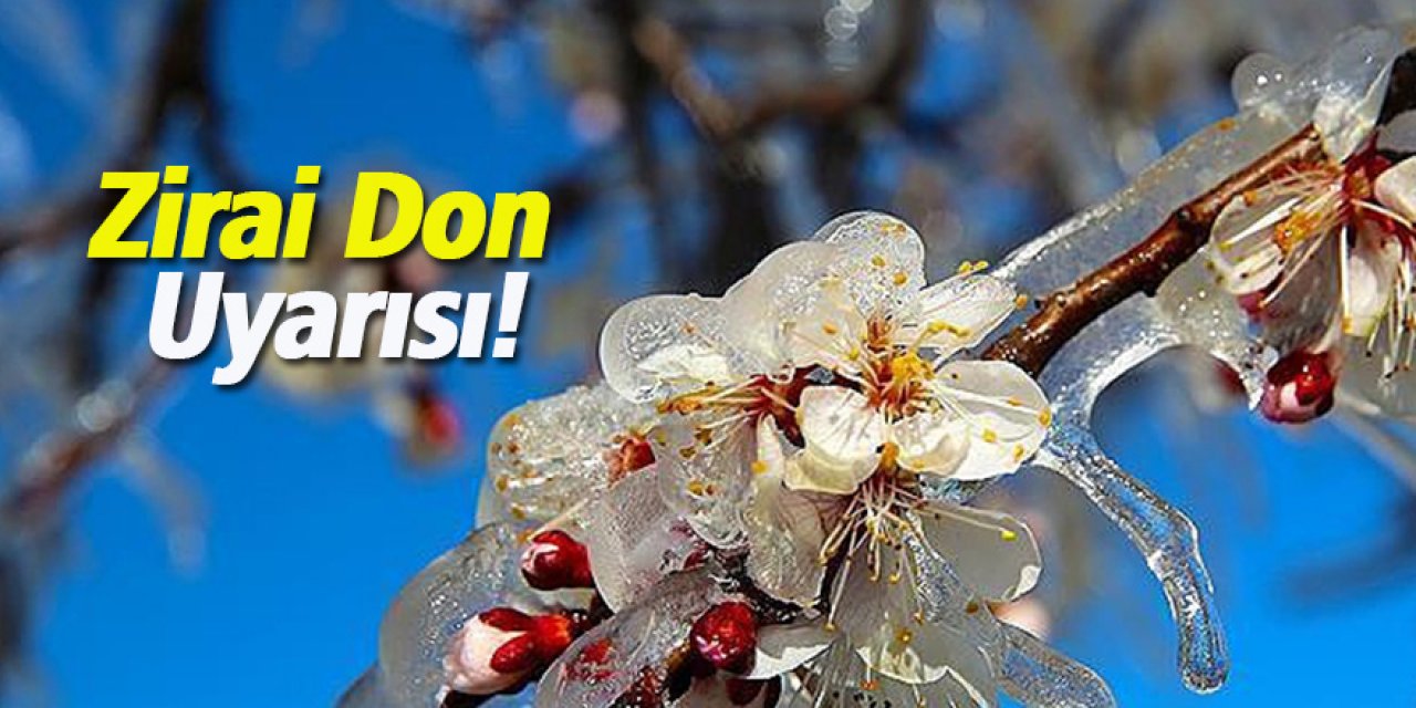 Zirai Don Tehlikesine Dikkat!