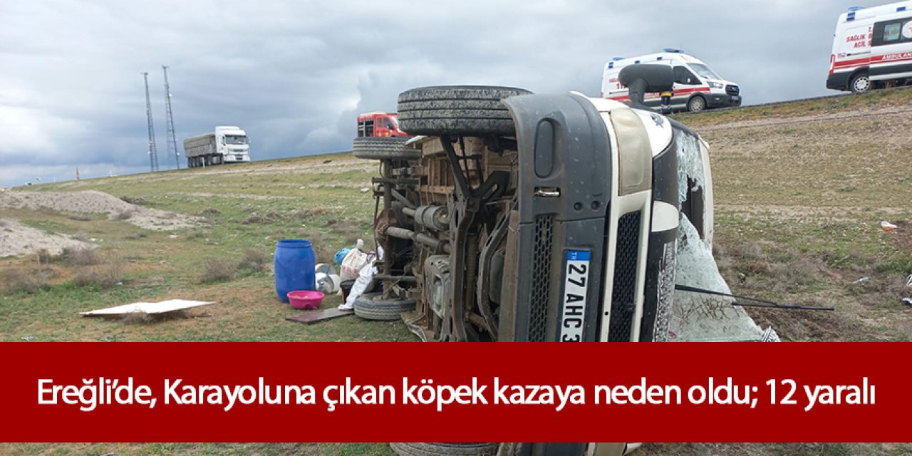 Karayoluna çıkan köpek, kazaya neden oldu; 12 yaralı