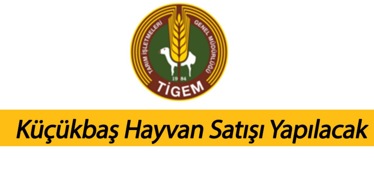 Küçükbaş Hayvan Satışı Yapılacak