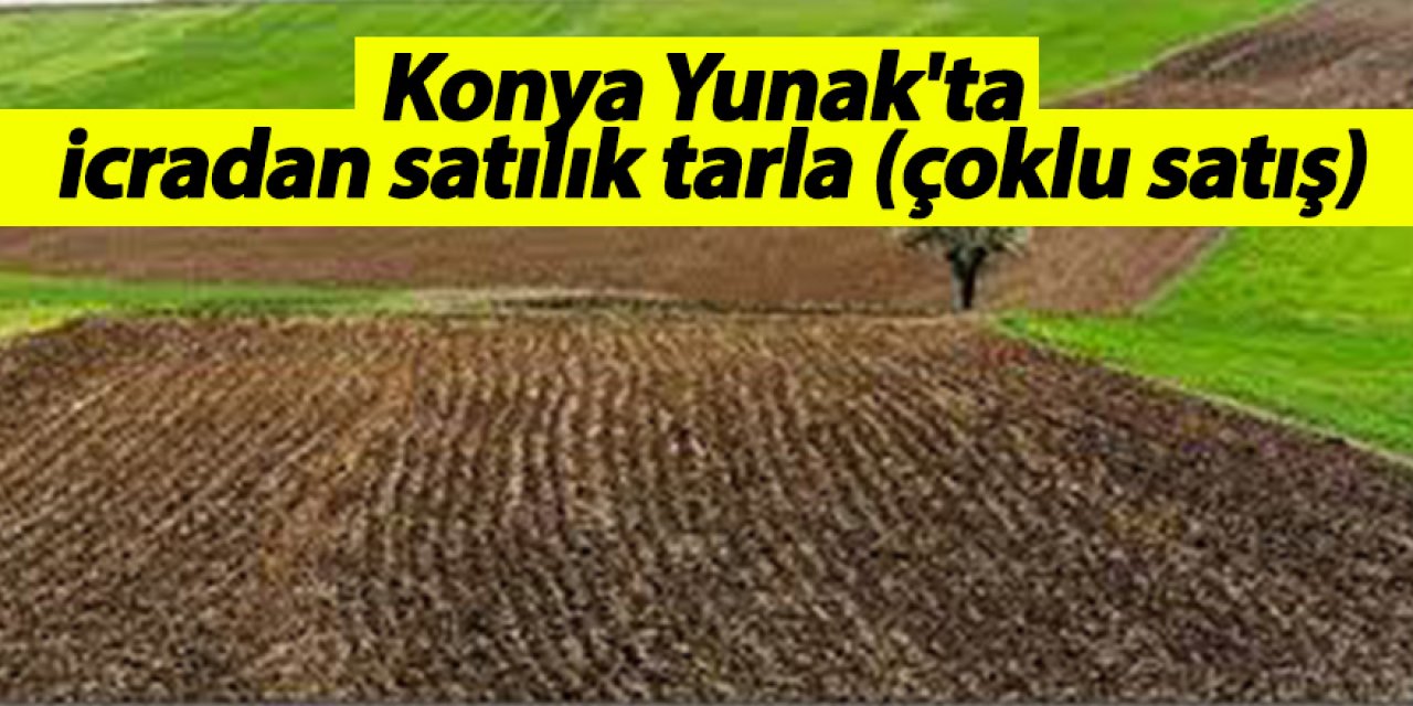 Konya Yunak'ta icradan satılık tarla (çoklu satış)