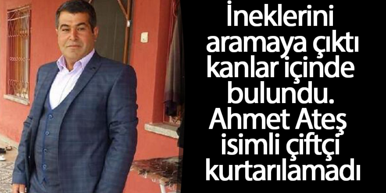 İneklerini aradığı arazide yaralı bulunan çiftçi, kurtarılamadı
