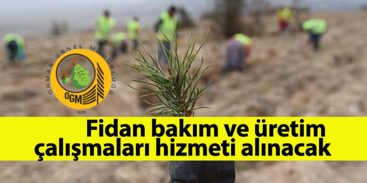 Fidan bakım ve üretim çalışmaları hizmeti alınacak