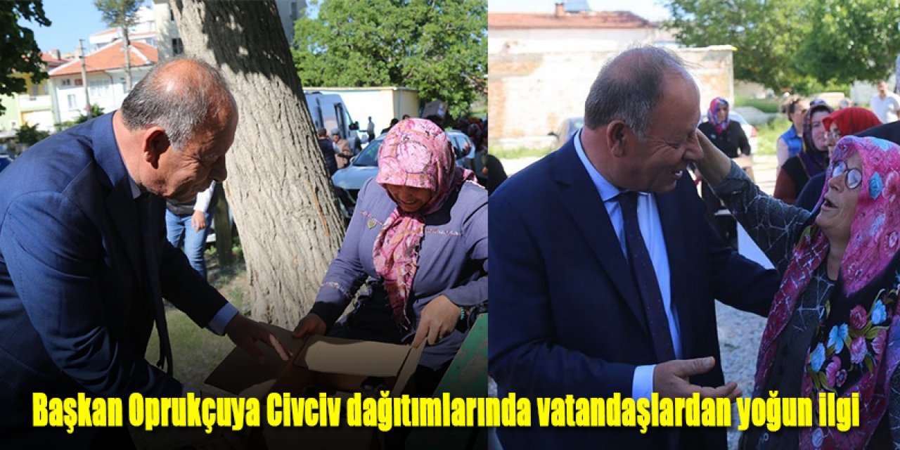 Ereğli Belediyesinin Civciv dağıtımları sürüyor