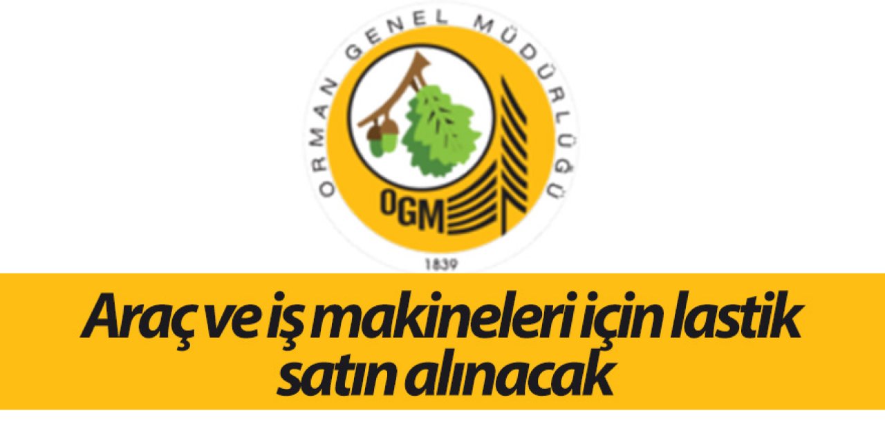 Araç ve iş makineleri için lastik satın alınacak