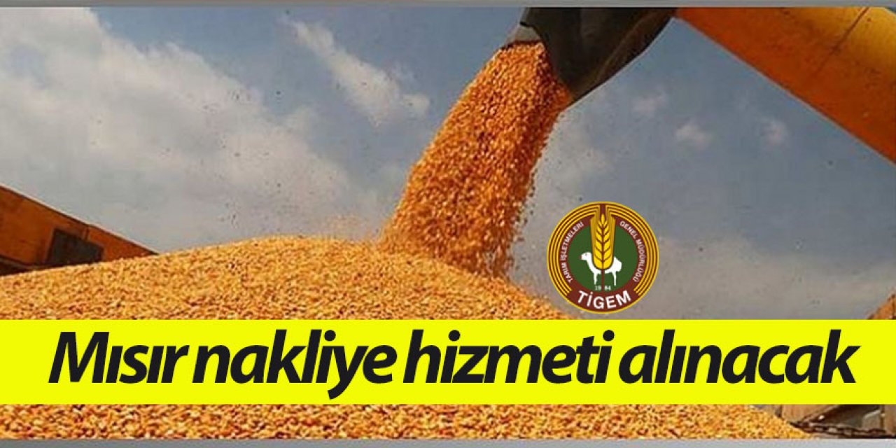 Mısır nakliye hizmeti alınacak