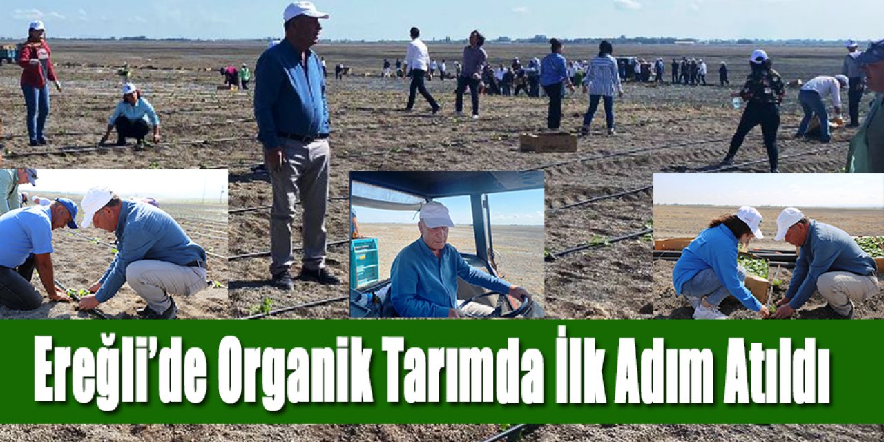 Organik Tarımda İlk Adım Atıldı