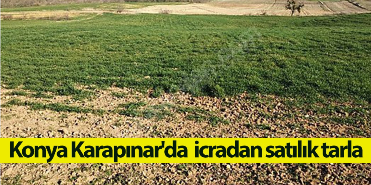 Konya Karapınar'da icradan satılık tarla