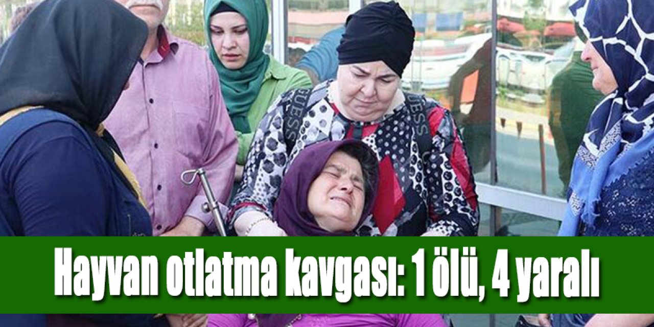 Merada hayvan otlatma kavgası: 1 ölü, 4 yaralı