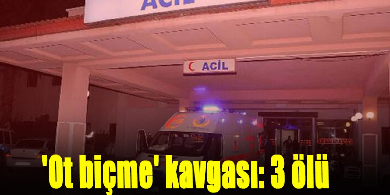 'Ot biçme' kavgası: 3 ölü