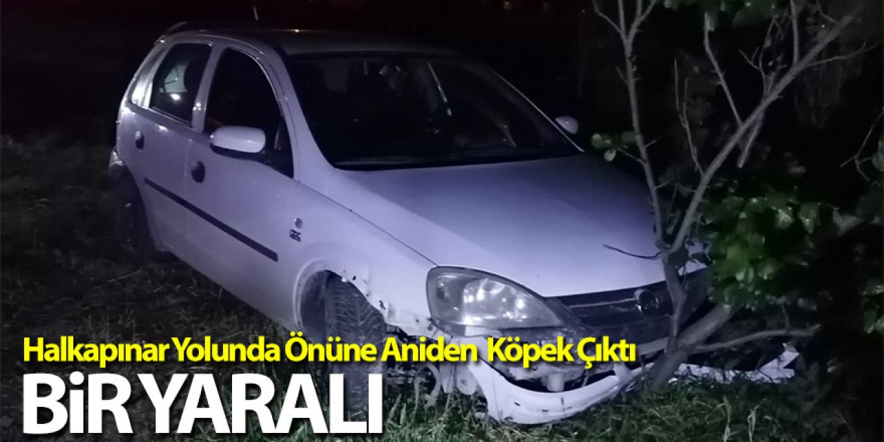 Otomobilin çarptığı köpek öldü, sürücü yaralandı