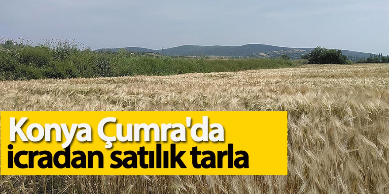 Konya Çumra'da icradan satılık tarla 