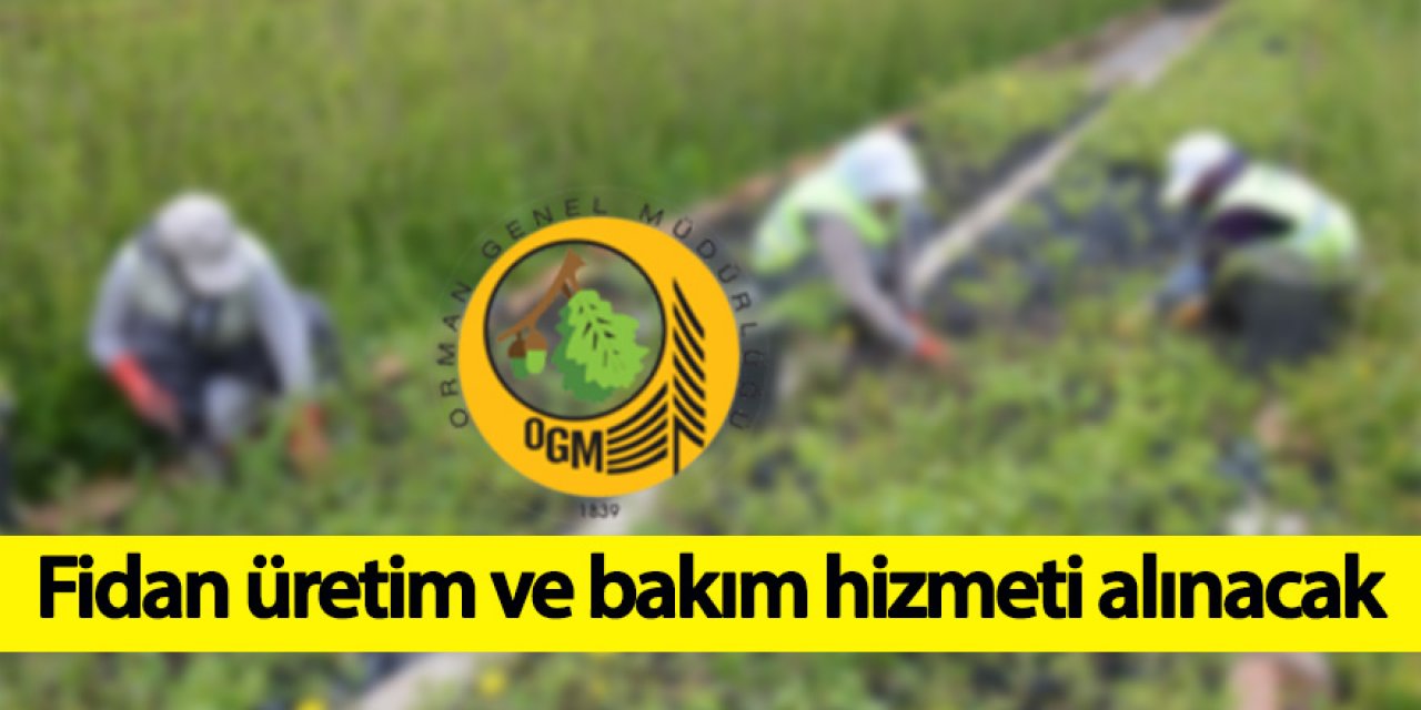 Fidan üretim ve bakım hizmeti alınacak