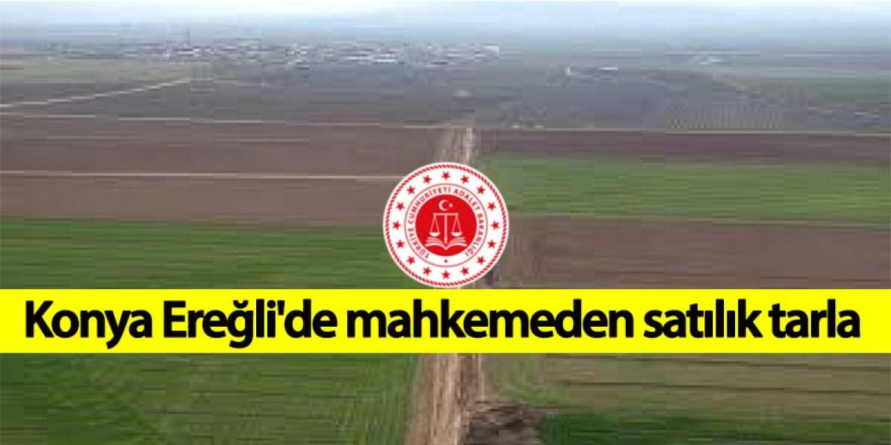 Konya Ereğli'de mahkemeden satılık tarla