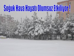 Soğuk hava hayatı olumsuz etkiliyor