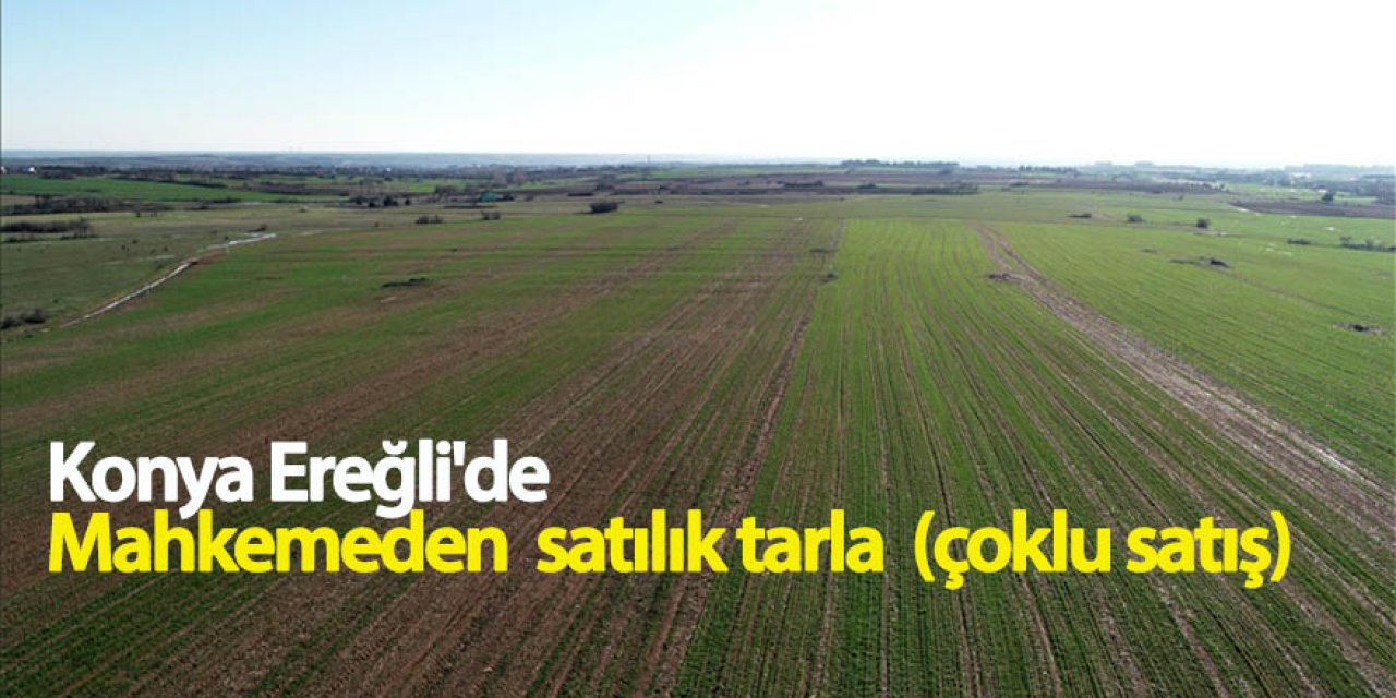 Konya Ereğli'de Mahkemeden  satılık tarla  (çoklu satış)