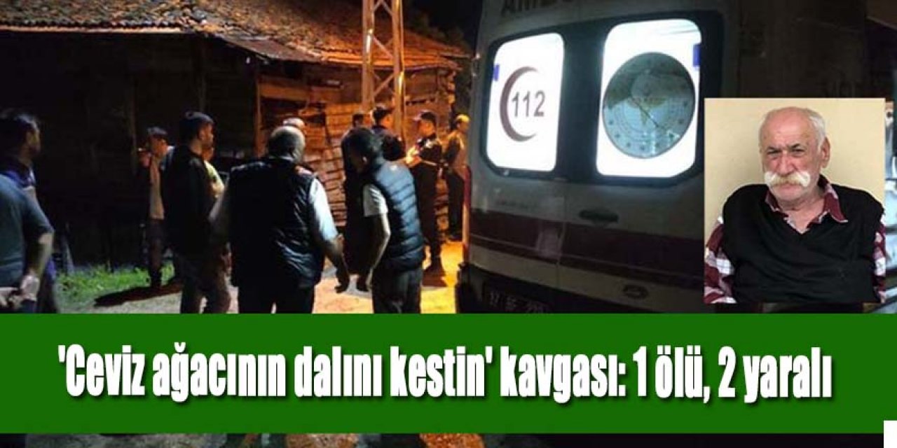'Ceviz ağacının dalını neden kestin' kavgası: 1 ölü, 2 yaralı