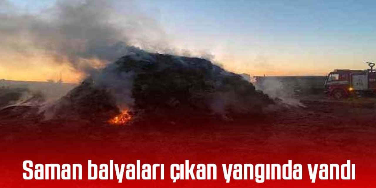 Saman balyaları çıkan yangında yandı