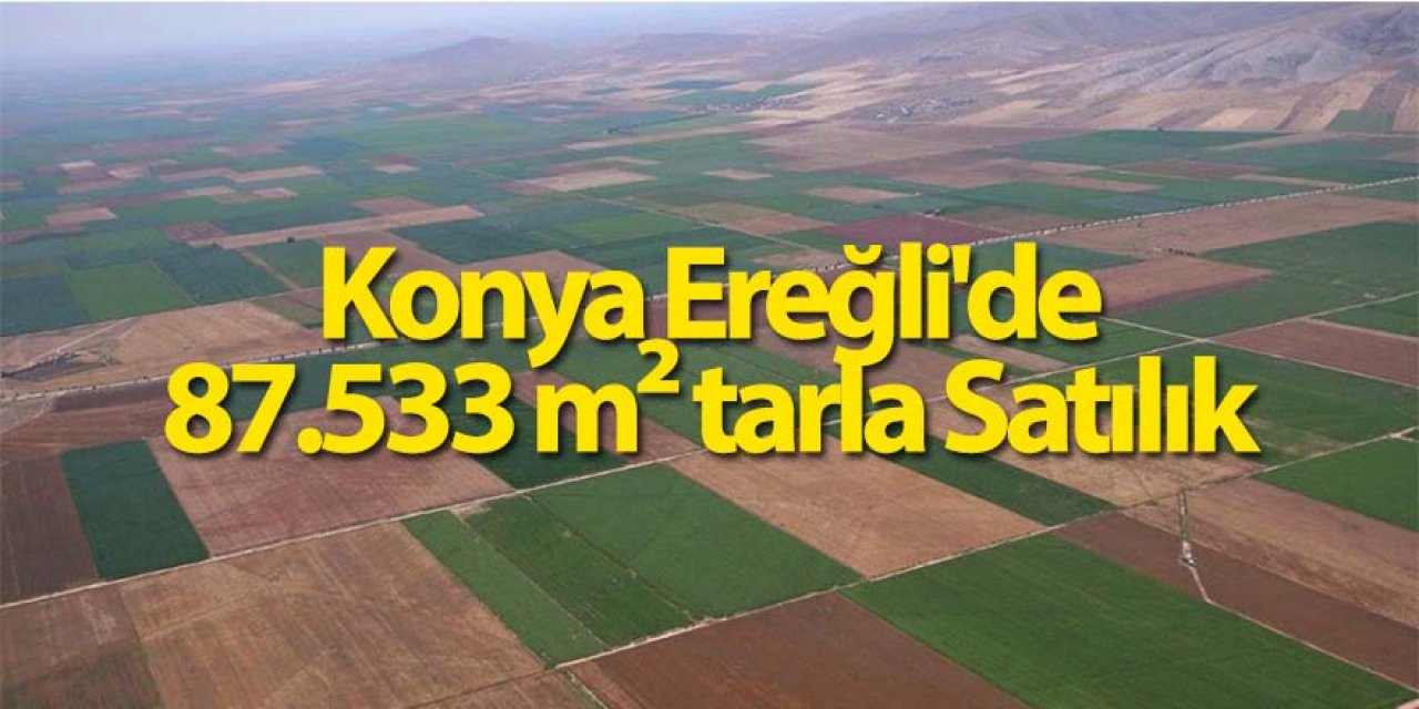Konya Ereğli'de 87.533 m² tarla Satılık