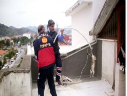 Bacaya düşen kedi böyle kurtarıldı