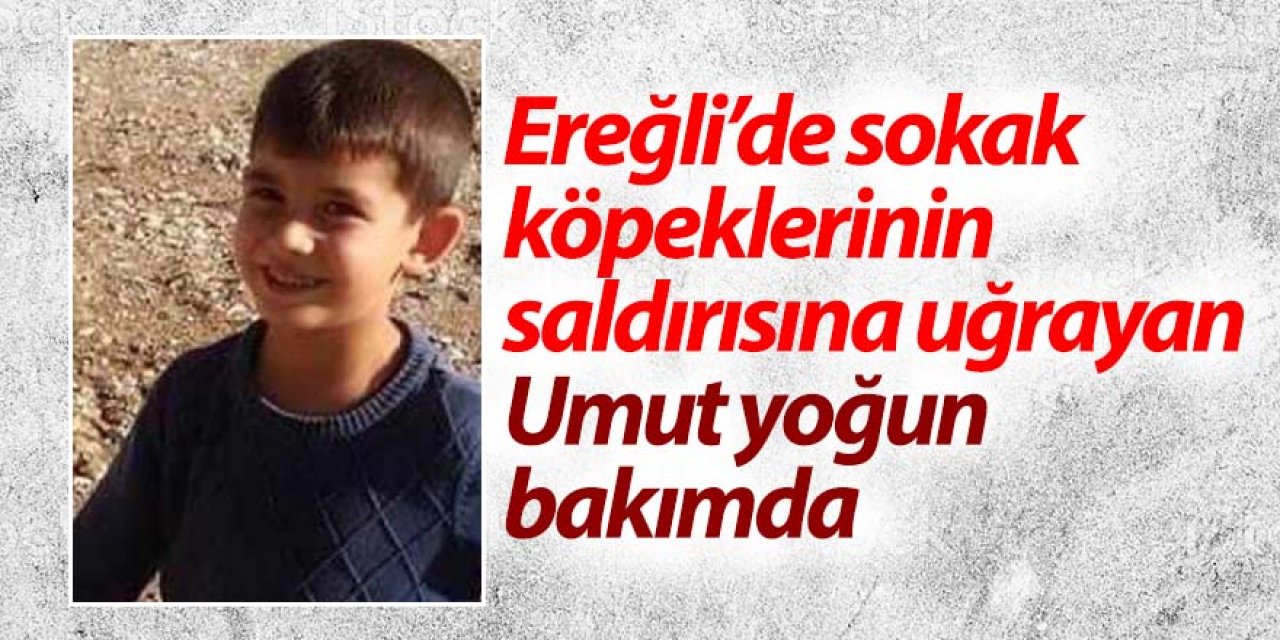 4 KÖPEĞİN SALDIRISINA UĞRAYAN UMUT, YOĞUN BAKIMDA UYUTULUYOR