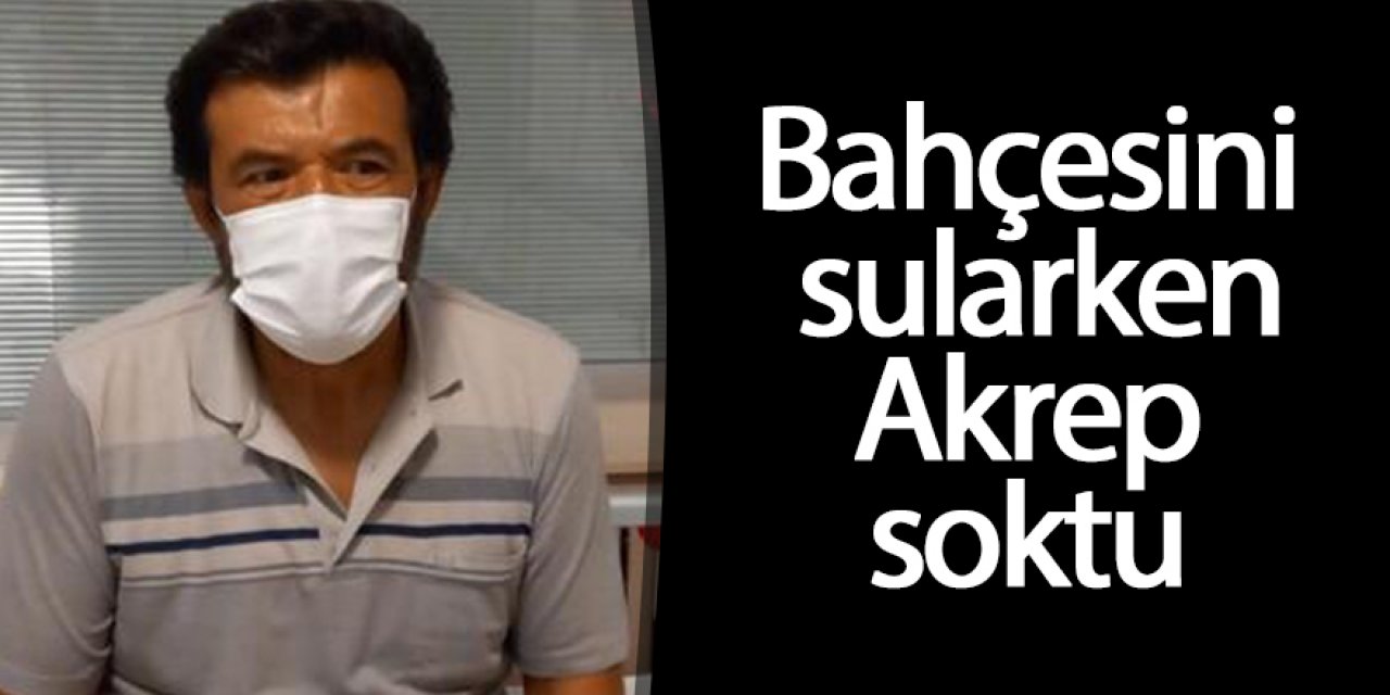 Evin bahçesini sularken akrep soktu