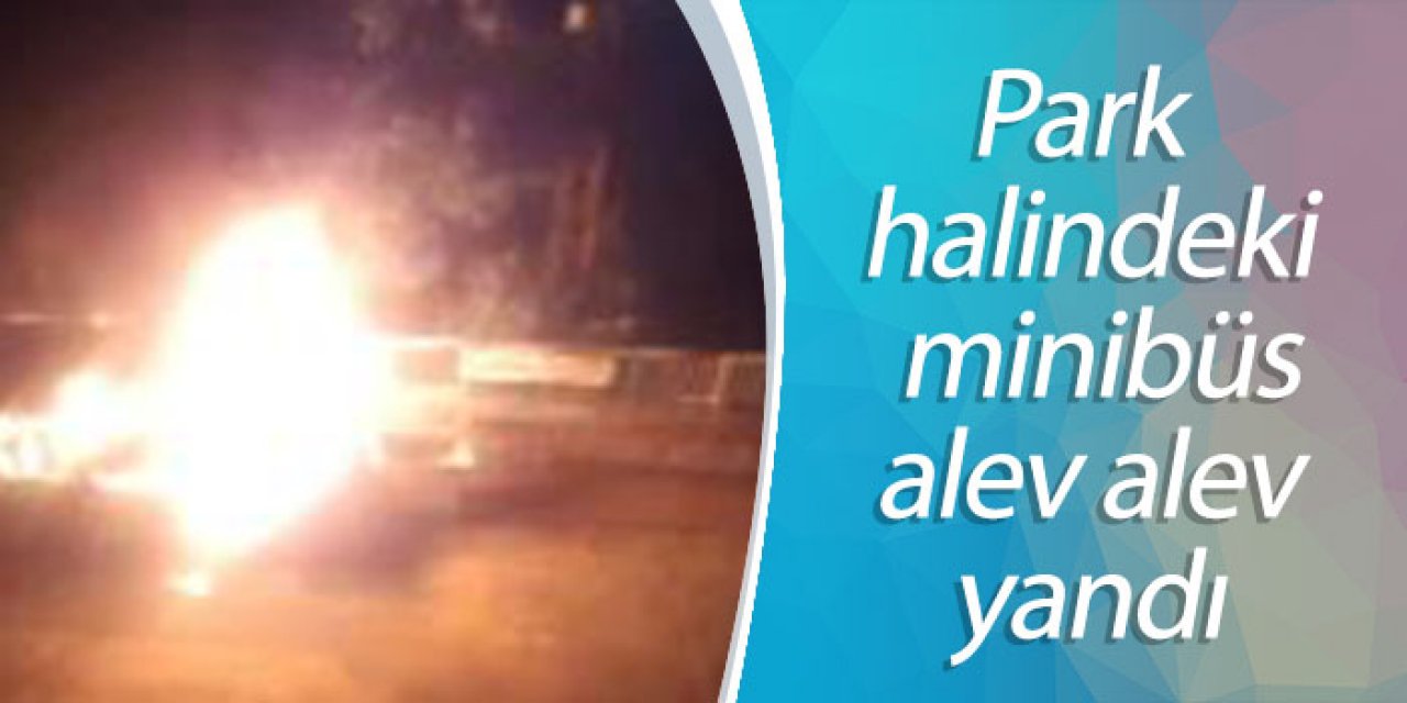 Park halindeki minibüs alev alev yandı