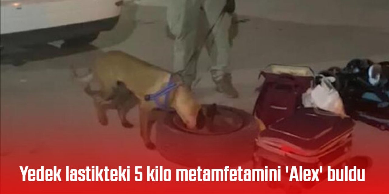 Yedek lastikteki 5 kilo metamfetamini 'Alex' buldu