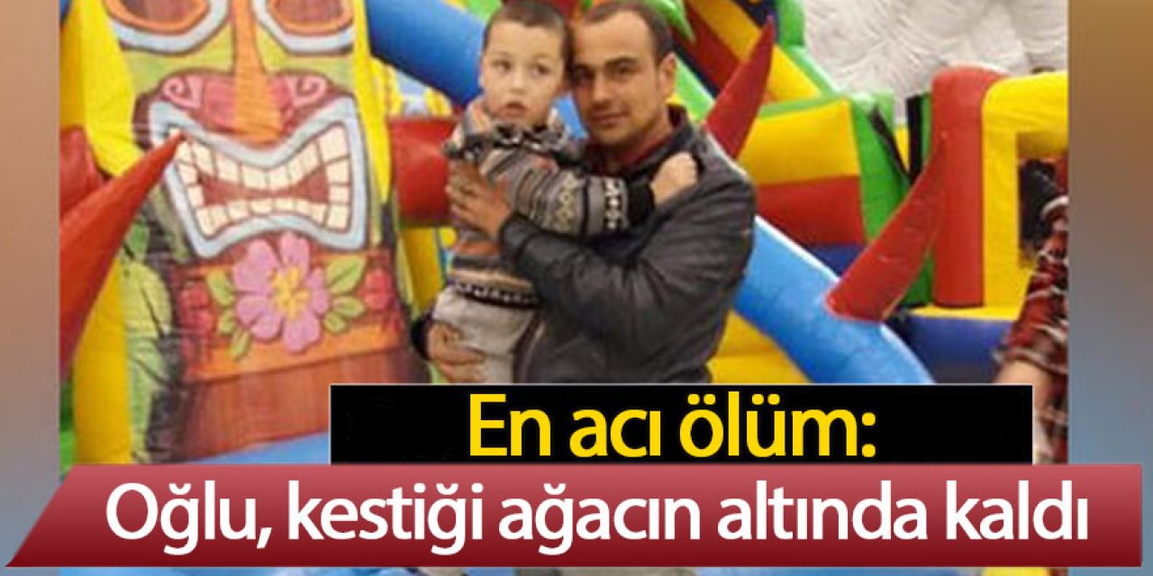 En acı ölüm: Oğlu, kestiği ağacın altında kaldı