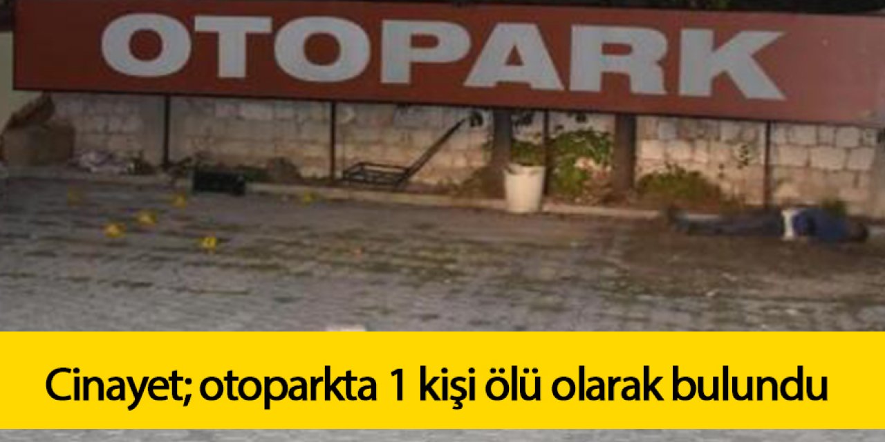 Cinayet; otoparkta 1 kişi tabanca ile vurulmuş olarak bulundu