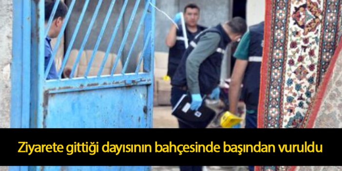 Ziyarete gittiği dayısının bahçesinde başından vuruldu