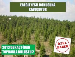 523 Bin Fidan Toprakla Buluştu