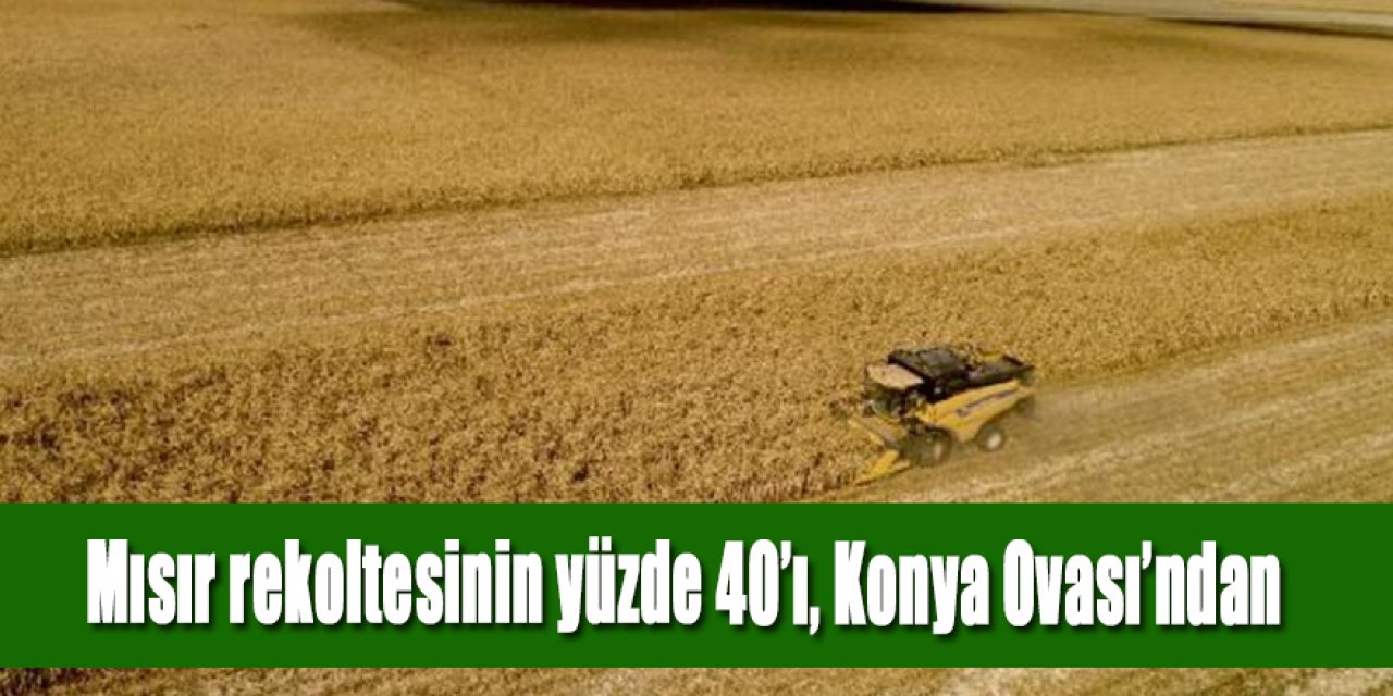 Mısır rekoltesinin yüzde 40’ı, Konya Ovası’ndan