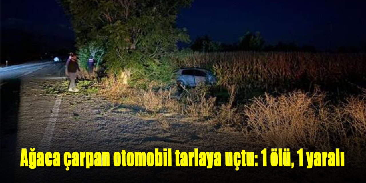 Ağaca çarpan otomobil tarlaya uçtu: 1 ölü, 1 yaralı