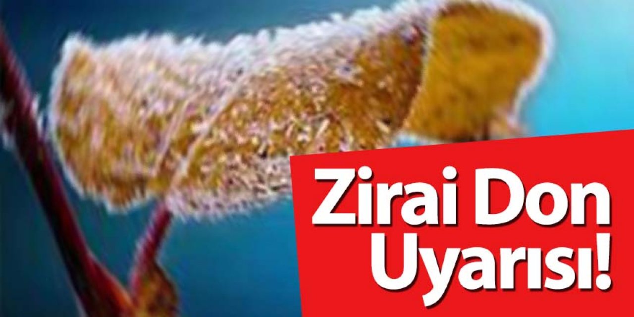 Zirai Don Uyarısı!