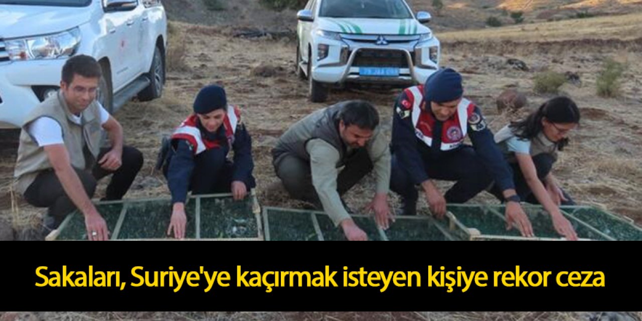 900 sakayı Suriye'ye kaçırmak isteyen şüpheliye rekor ceza