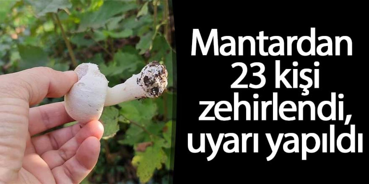 Mantardan 23 kişi zehirlendi, uyarı yapıldı