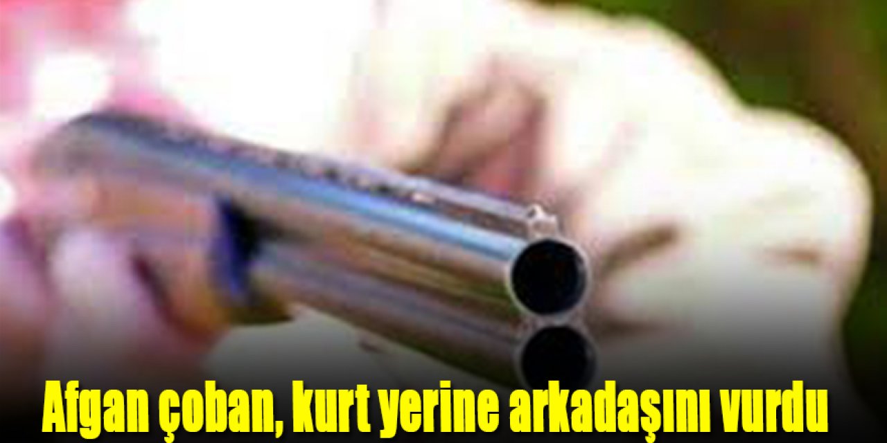 Afgan çoban, kurt yerine arkadaşını vurdu
