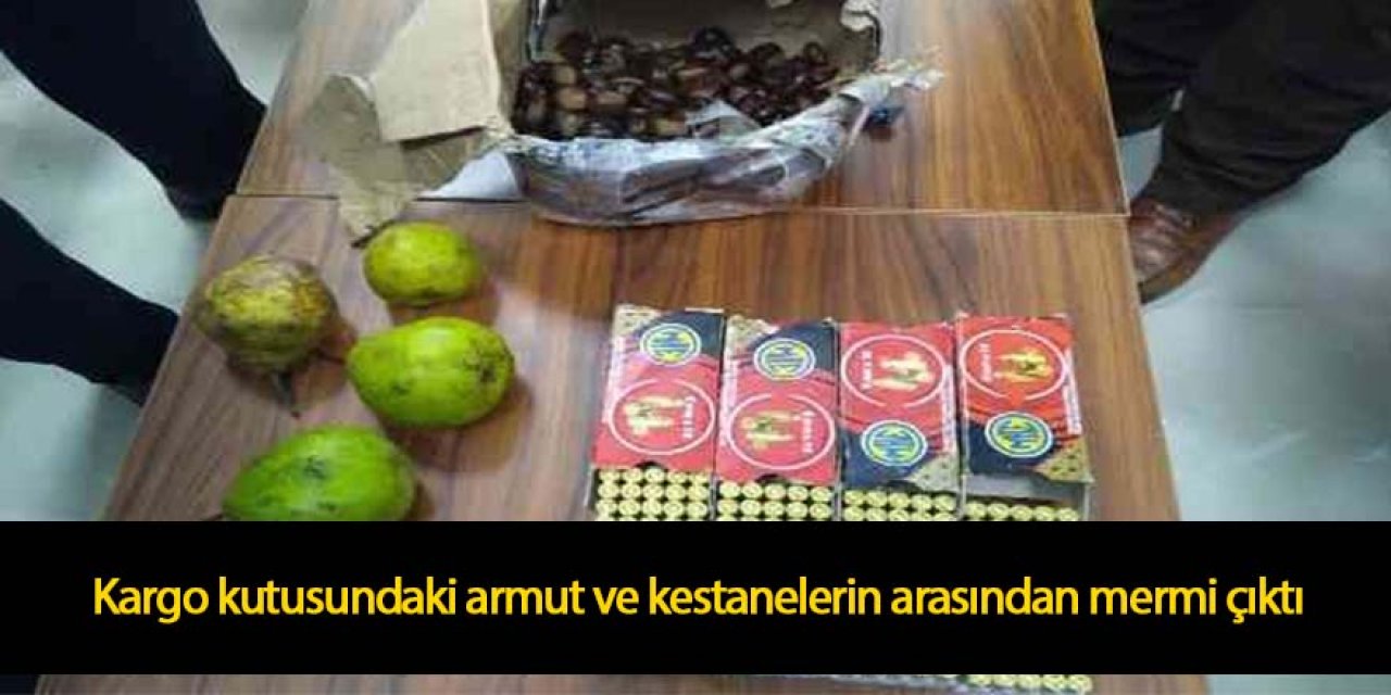 Kargo kutusundaki armut ve kestanelerin arasından 200 mermi çıktı