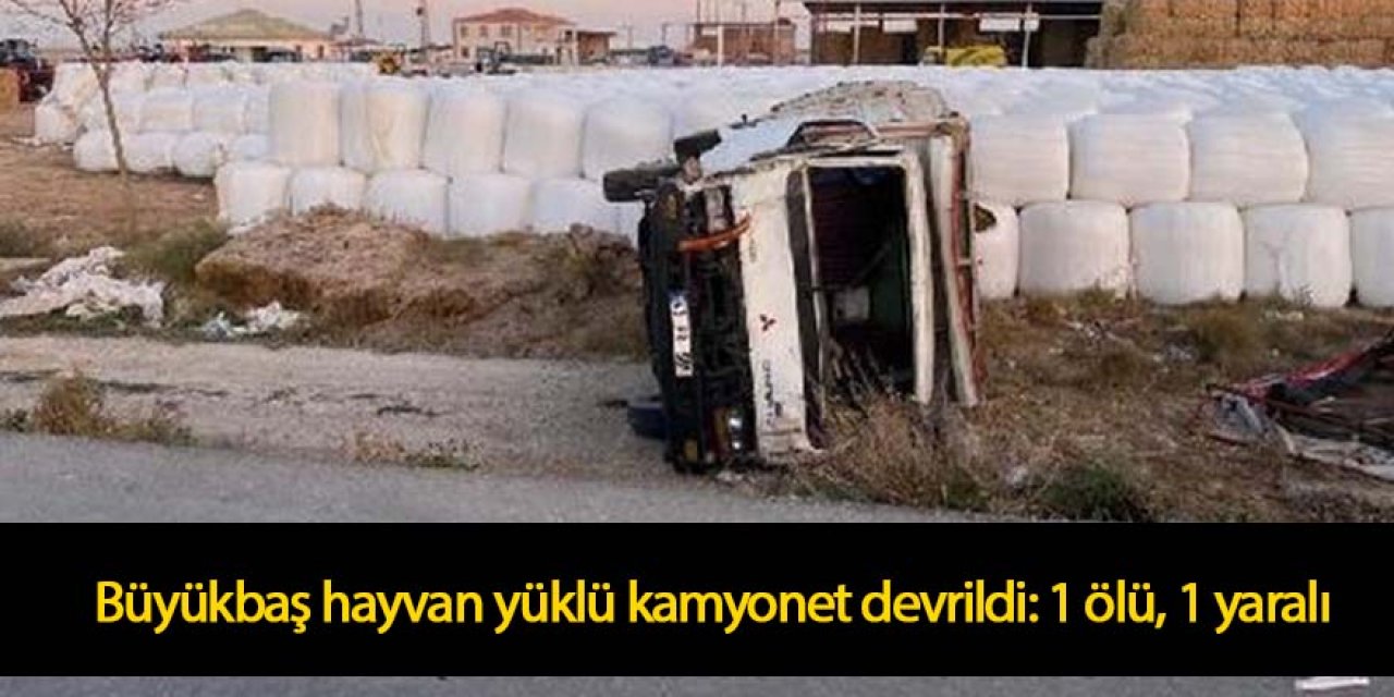 Büyükbaş hayvan yüklü kamyonet devrildi: 1 ölü, 1 yaralı