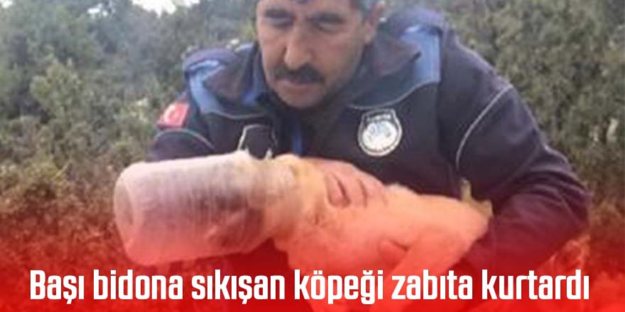 Başı bidona sıkışan köpeği zabıta kurtardı
