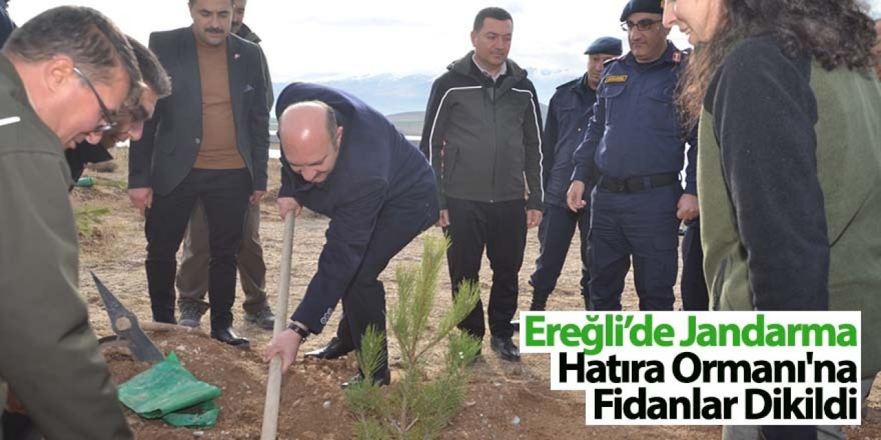 Ereğli’de Jandarma Hatıra Ormanı'na fidanlar dikildi